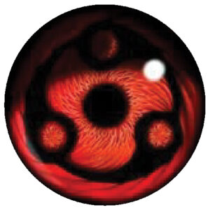 COA #006